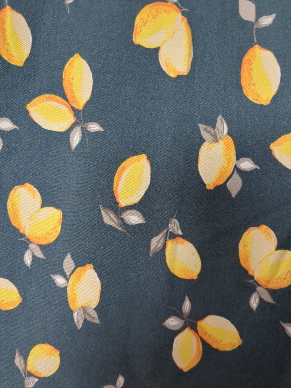 Vintage Pants with Lemon Motif - Picture 2 of 11